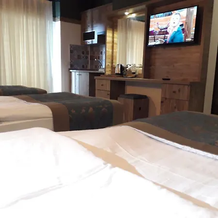 The Hotel 3*